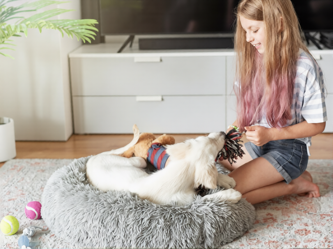 Choosing the Perfect Pet Bed for Your Furry Friend