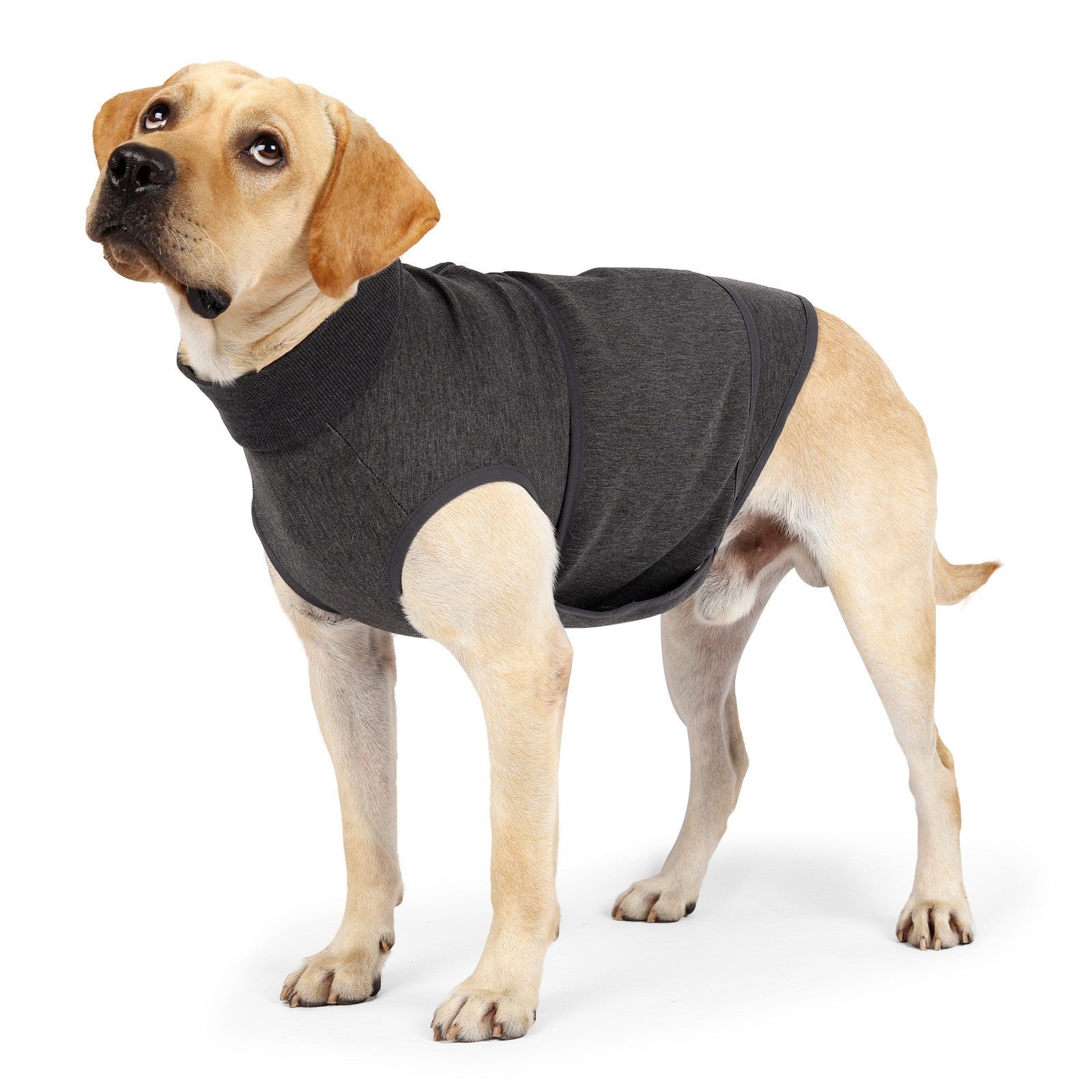 Polyester Cotton Pet Double-Layer Comfort Jacket