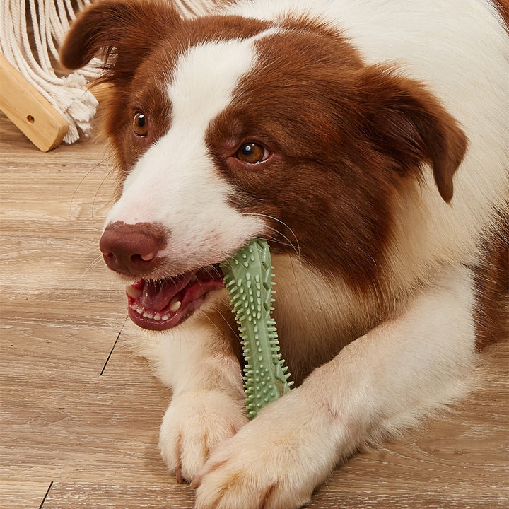 Pet Teeth Cleaning Chew Toy