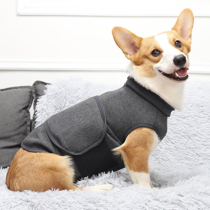 Polyester Cotton Pet Double-Layer Comfort Jacket
