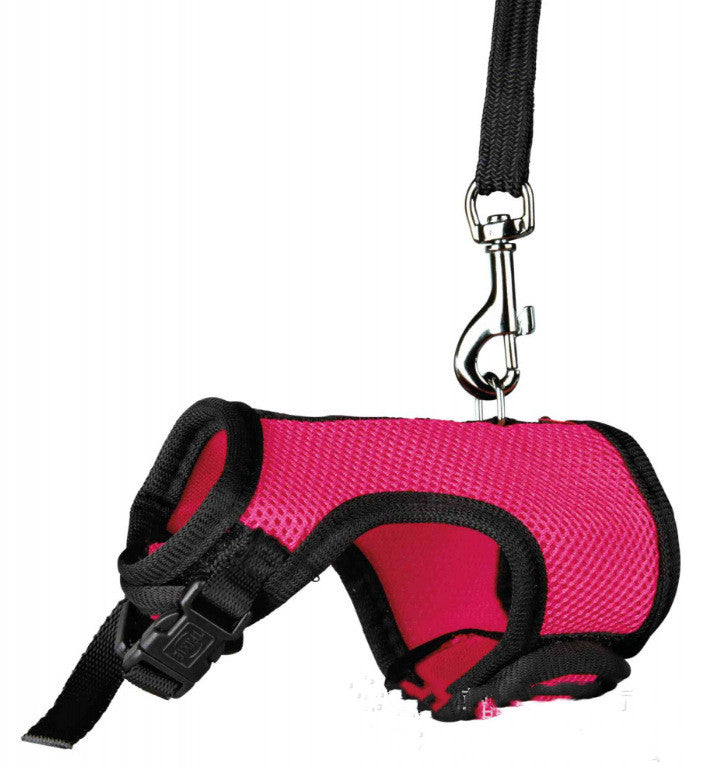 Small Pet Leash Strap