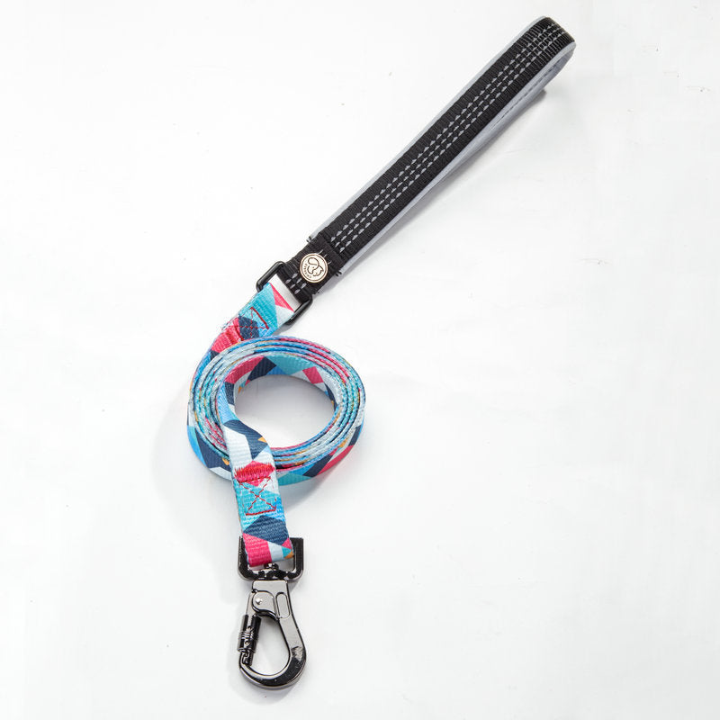 Durable Adjustable Pet Leash For Walking And Training