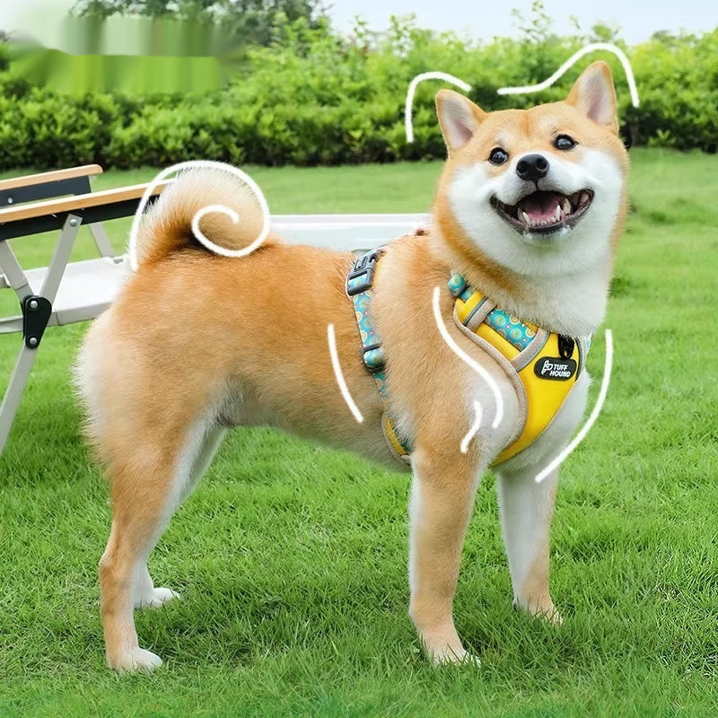 Pet Harness Vest Style Walking Leash For Daily Use