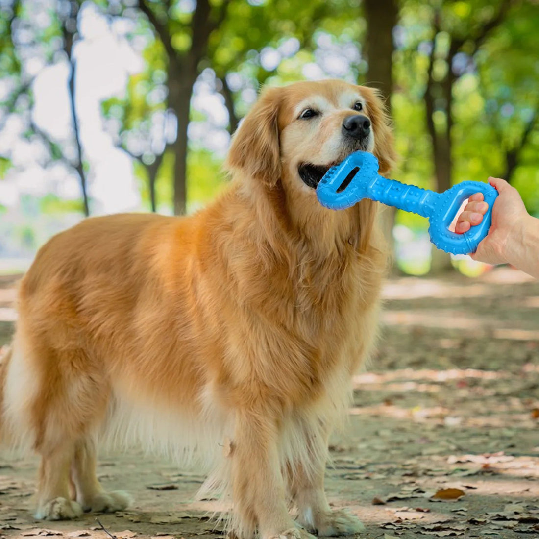 Durable Interactive Pet Chew Bone Toy
