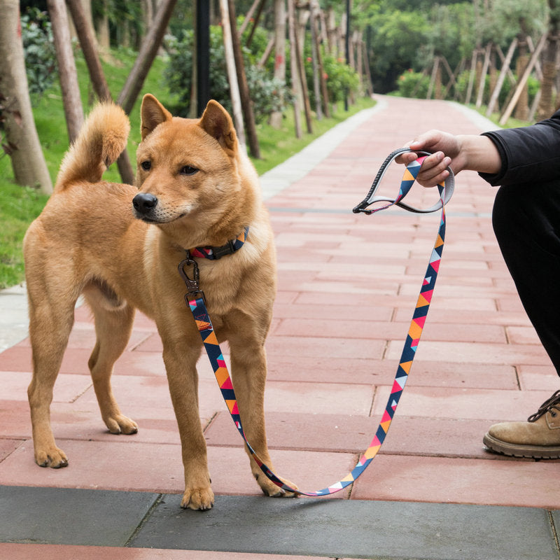 Durable Adjustable Pet Leash For Walking And Training