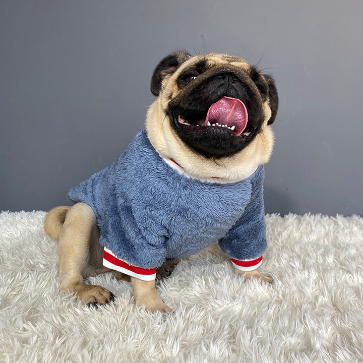 Cozy Warm Knit Pet Sweater For Comfort And Style