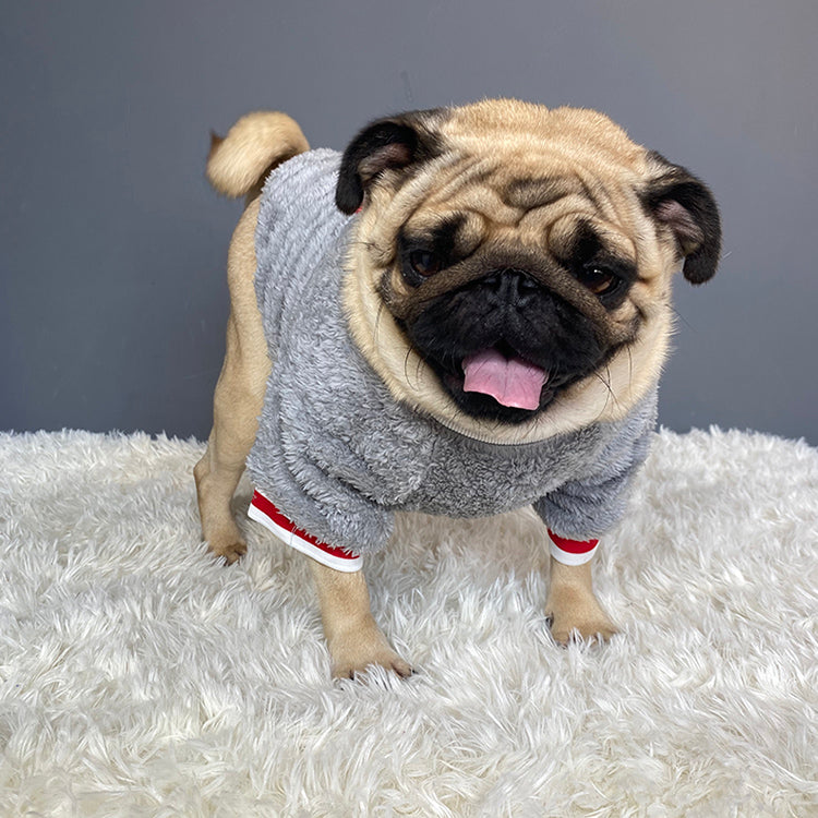 Cozy Warm Knit Pet Sweater For Comfort And Style