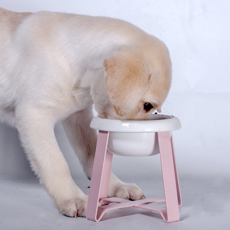 Creative Anti-Slip Pet Feeding Bowl With Stand 2-in-1