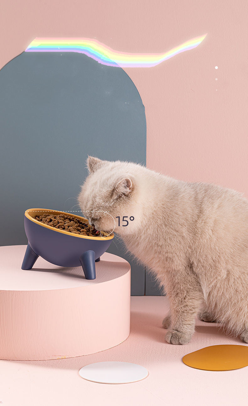 Nordic Color Pet Feeding Bowl With Stand