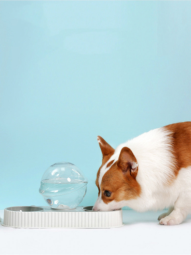 Automatic Plastic Pet Water and Food Bowl