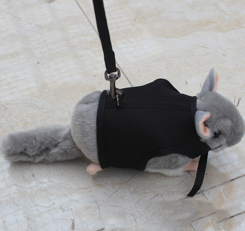 Small Pet Leash Strap