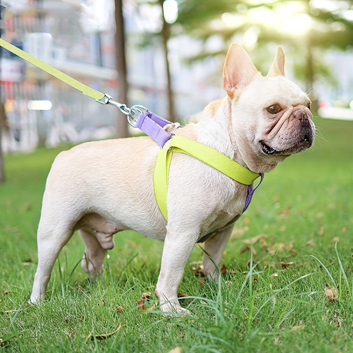 Rainbow Colorblock Anti Escape Pet Harness And Leash Set