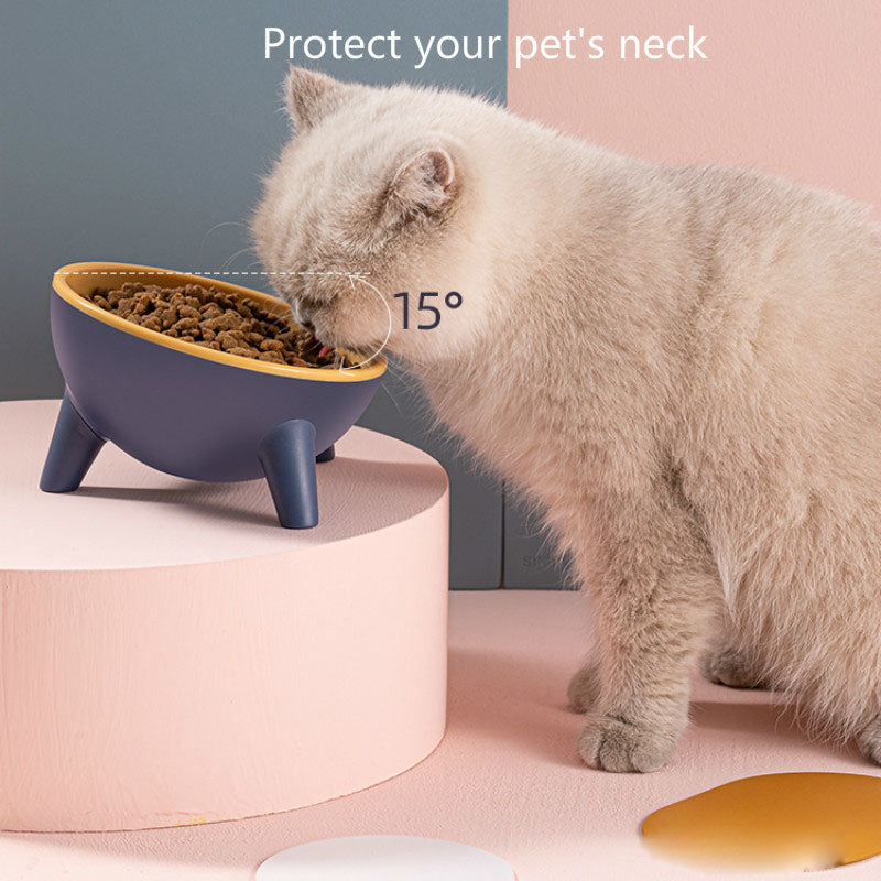 Nordic Color Pet Feeding Bowl With Stand