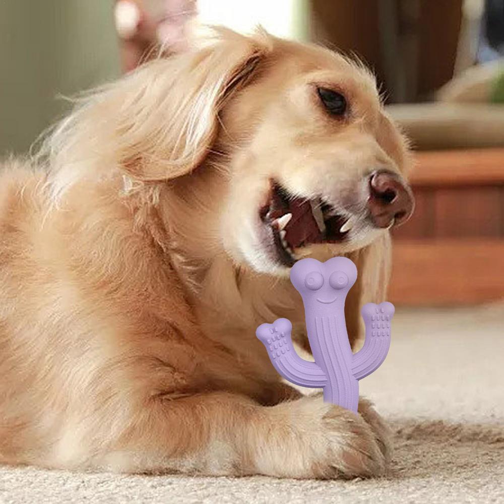 Cactus Chew Toy Durable Interactive Pet Toy For Play