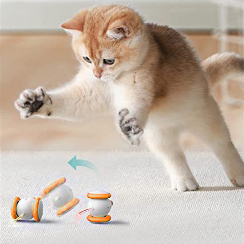 Electric Intelligent Pet Teasing Charging Toy Interactive