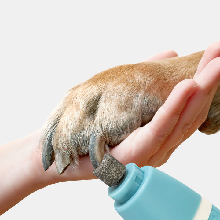 Pet Nail Polisher and Hair Trimmer Dual-Purpose Machine