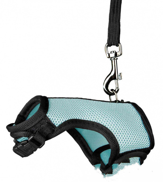 Small Pet Leash Strap