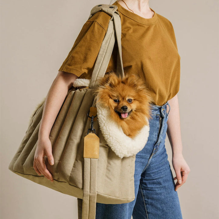 Lightweight Waterproof Pet Carrier Bag For Travel