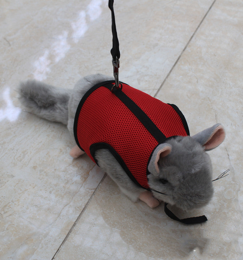 Small Pet Leash Strap