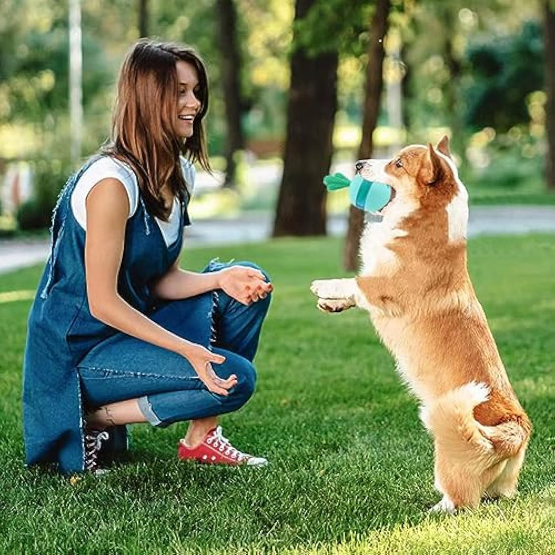 Interactive Treat Dispensing Pet Puzzle Toy Durable Chew Ball