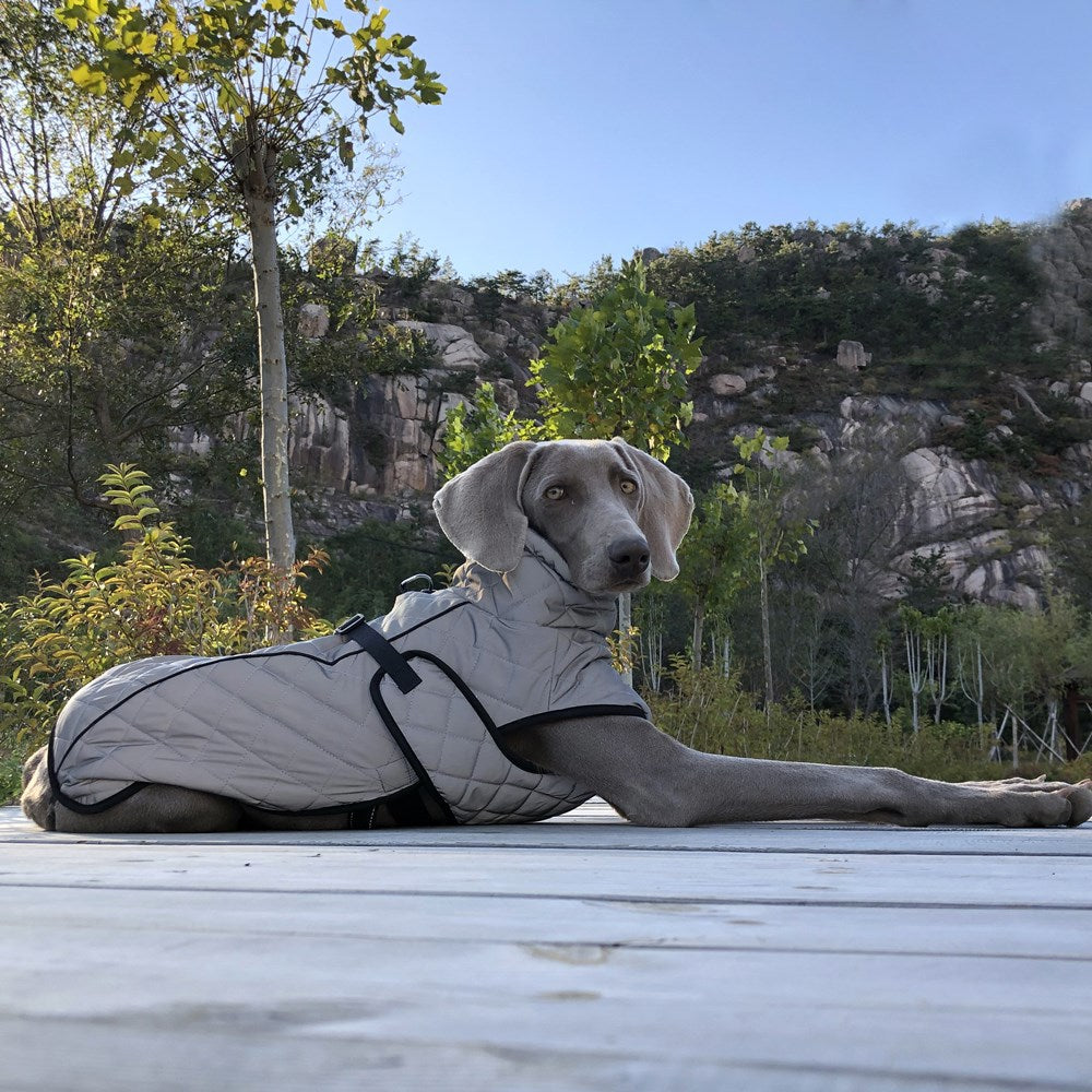 Pet Full Body Reflective Tactical Jacket Durable Outdoor Wear