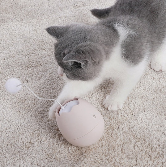 Funny Pet Interactive Toy Entertaining Play