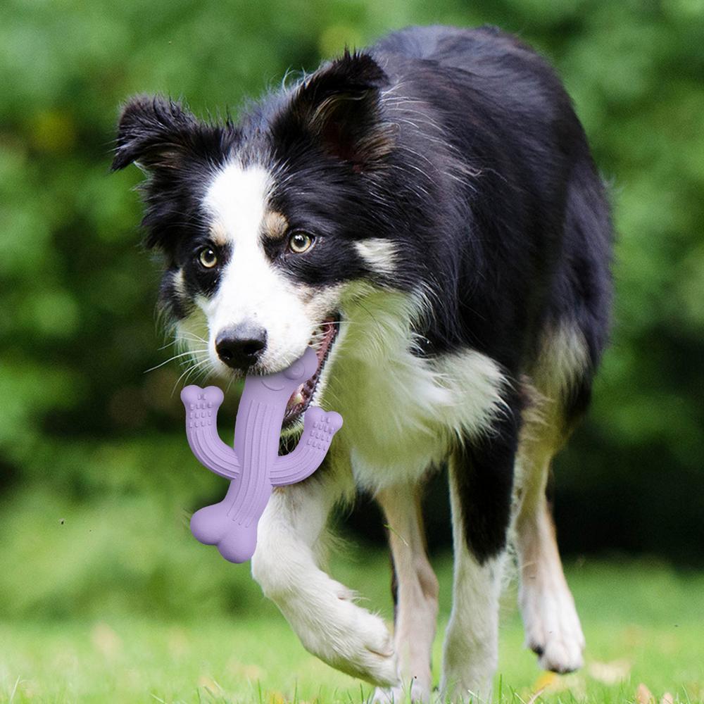 Cactus Chew Toy Durable Interactive Pet Toy For Play