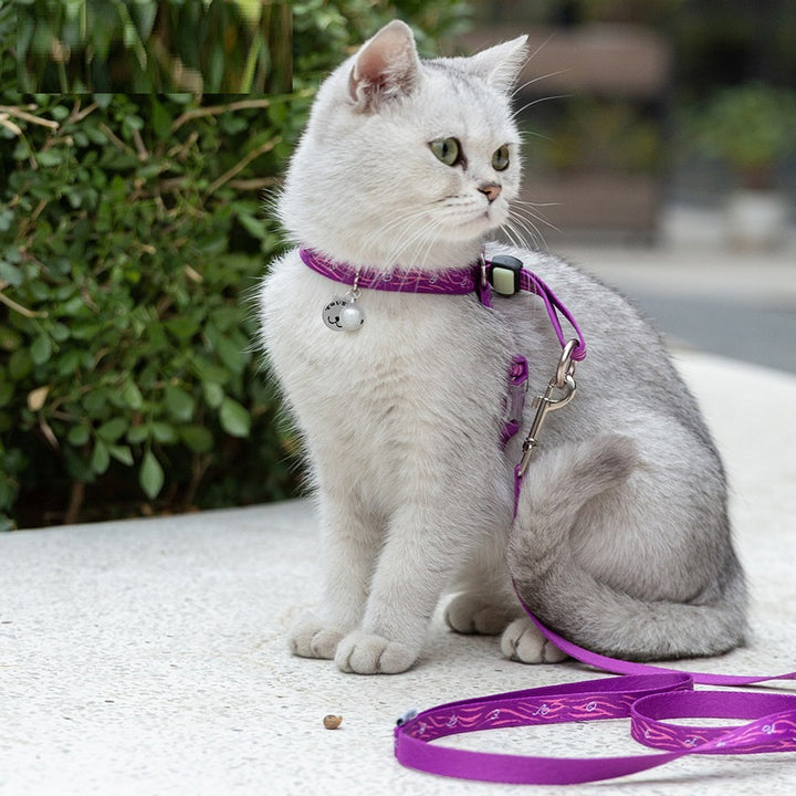 Pet Bell Chest Strap Harness With Leash