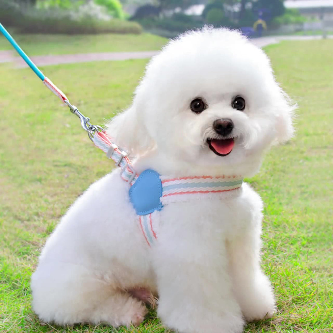 Summer Breathable Adjustable Pet Chest Vest Leash