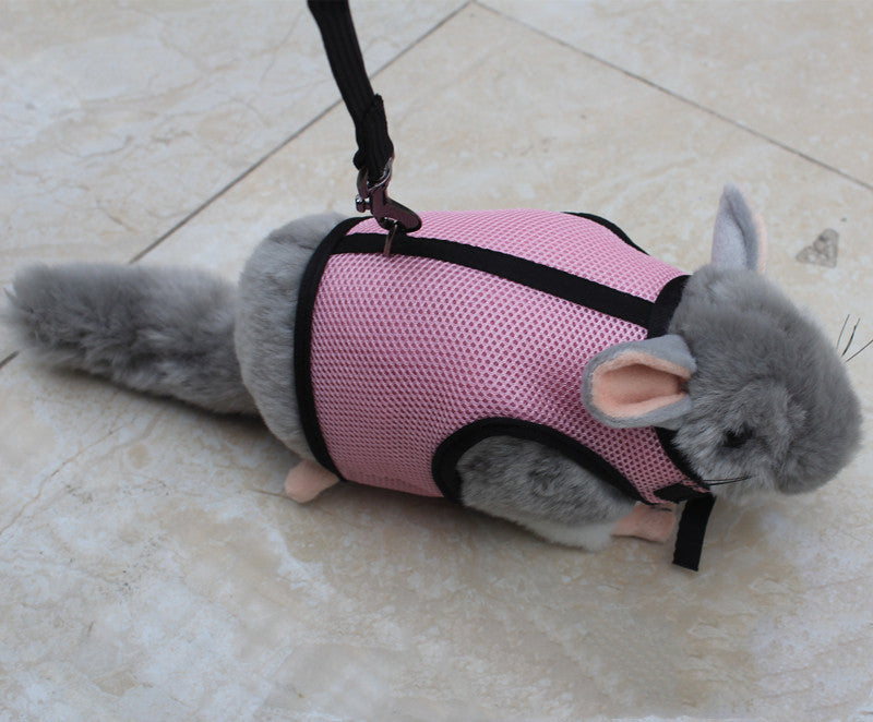 Small Pet Leash Strap
