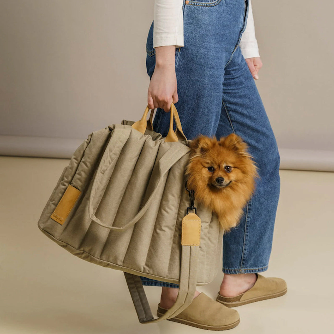Lightweight Waterproof Pet Carrier Bag For Travel