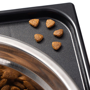 Anti-Tumble Pet Feeding Bowl With Neck Protection