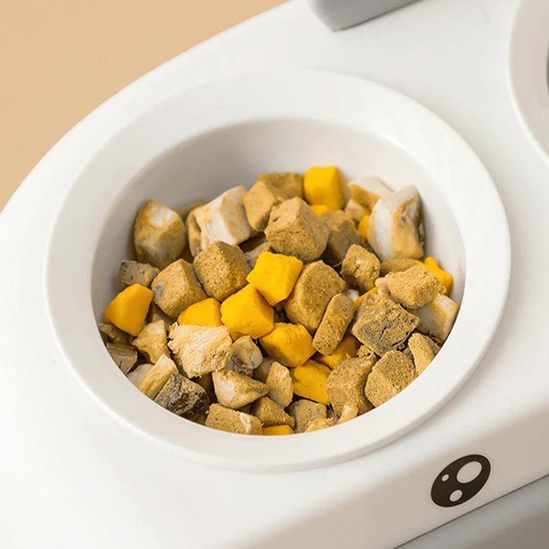 Duck Design Double Pet Feeding Bowl Plastic Tray