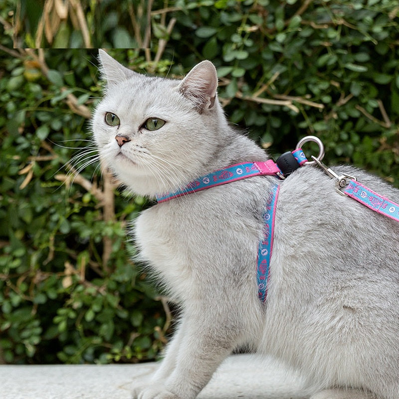 Pet Bell Chest Strap Harness With Leash