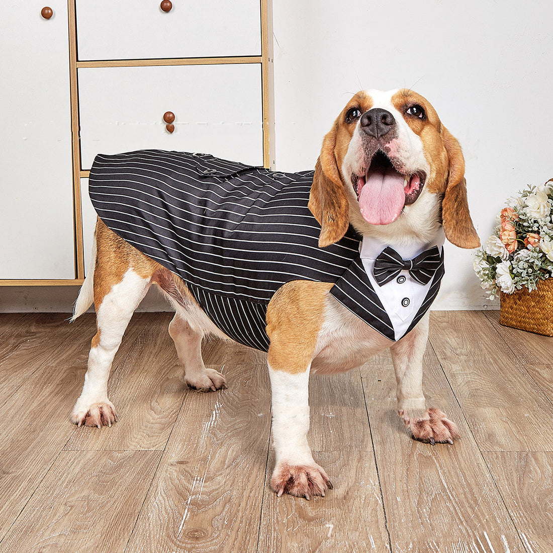 Pet Swallowtail Wedding Suit Jacket Formal Outfit