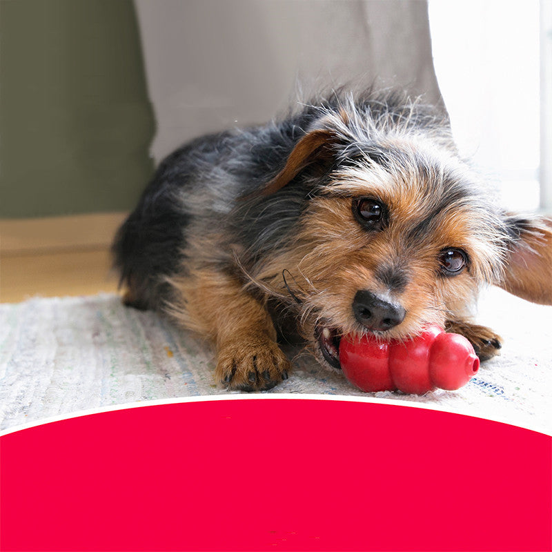 Bite Resistant Rubber Pet Chew Toys Durable Play