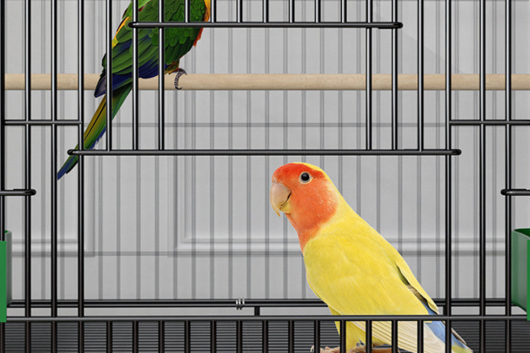 Home Fashion Double Layer Pet Cage With Modern Design