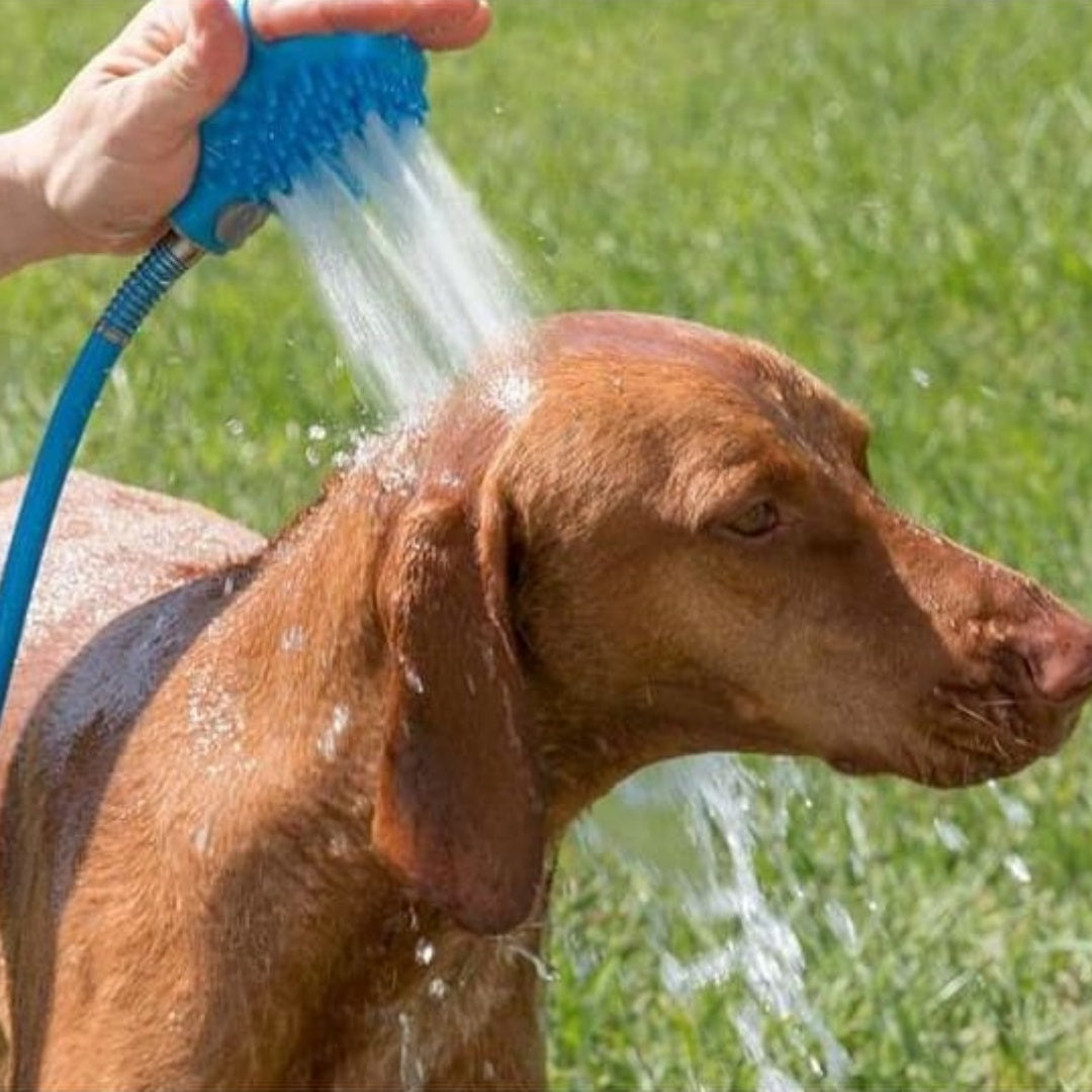 Silicone Pet Bath Gloves With Handheld Massage Nozzle