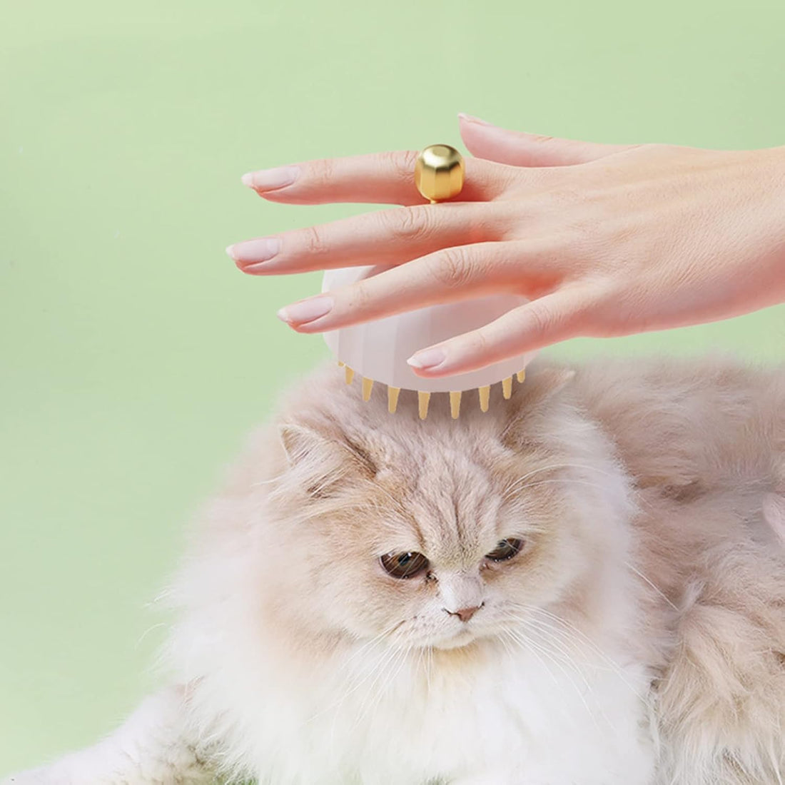 Pet Bath Massage Grooming Brush With Shampoo Dispenser