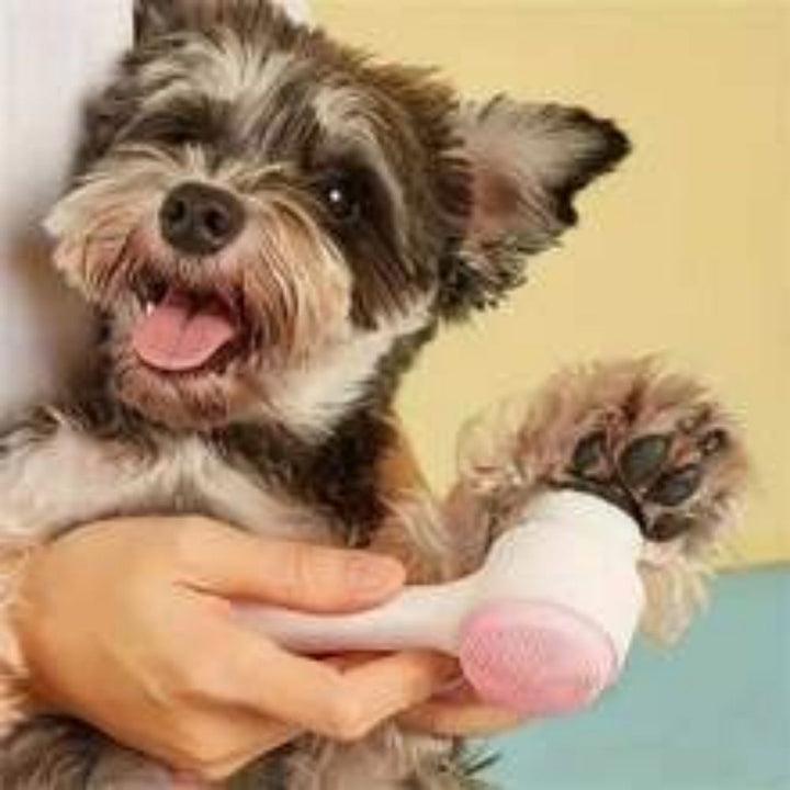 Easy Clean Nylon Pet Paw Grooming and Massage Brush