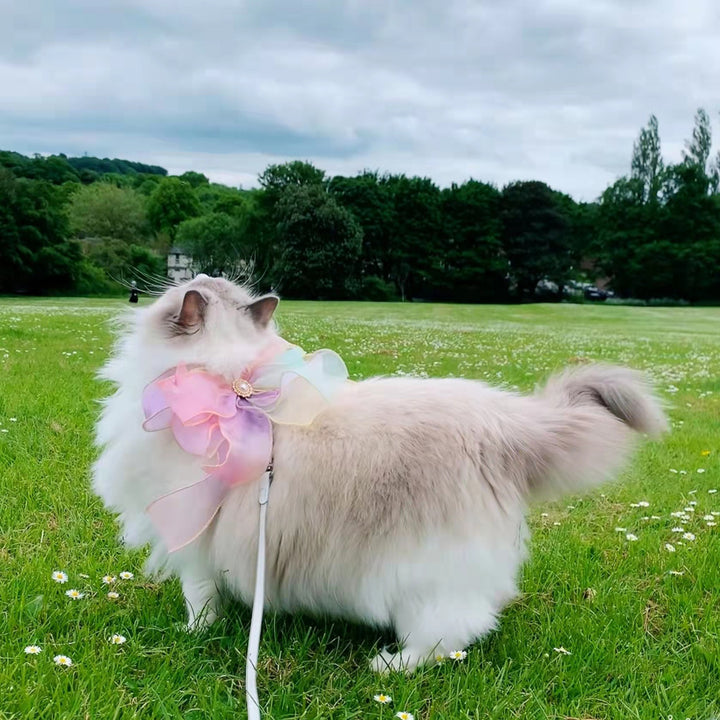 Butterfly Retractable Breakaway Pet Leash