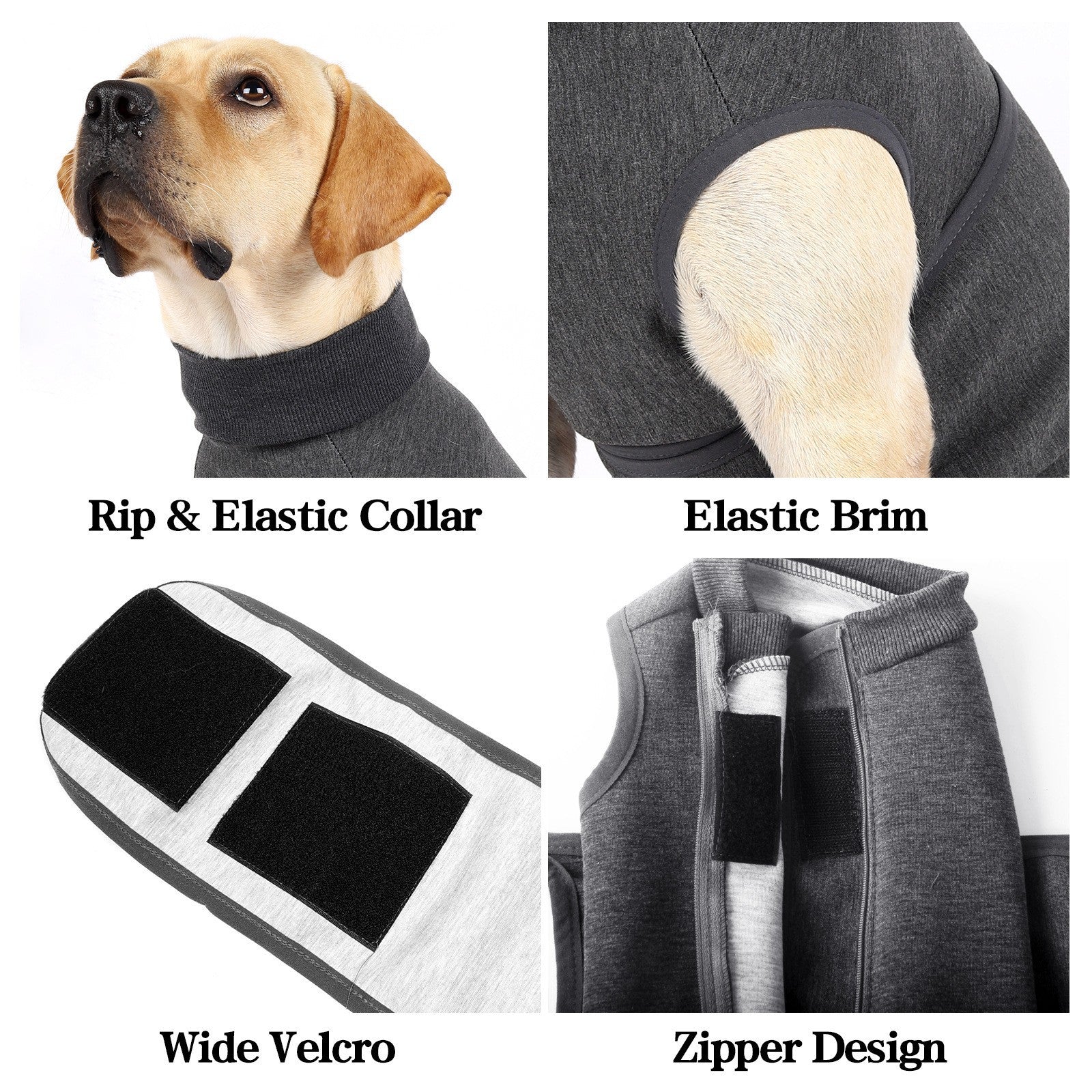 Polyester Cotton Pet Double-Layer Comfort Jacket