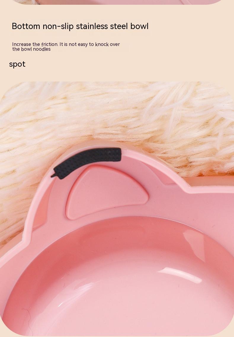 Pet Drinking and Feeding Bowl