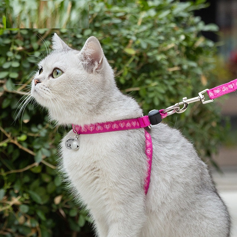 Pet Bell Chest Strap Harness With Leash